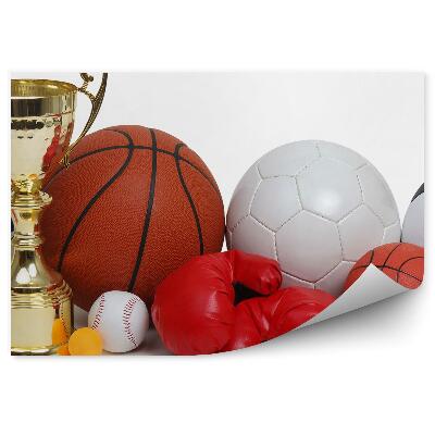 Fotótapéta Balls sportkesztyű dart kupa