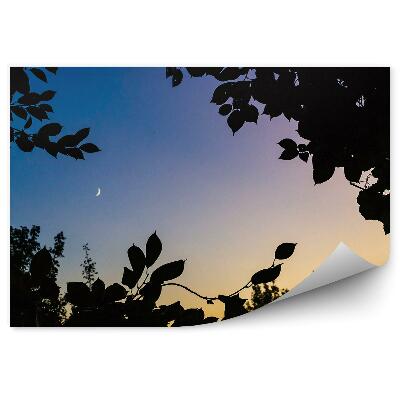 Öntapadó fotótapéta Naplemente levelek