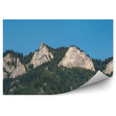 Öntapadós fotótapéta falra Pieniny három koronája