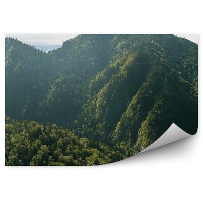 Öntapadó fotótapéta Táj Pieninyben