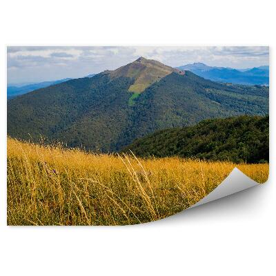 Öntapadó fotótapéta Zöld növényzettel borított hegyek a Bieszczady-hegységben