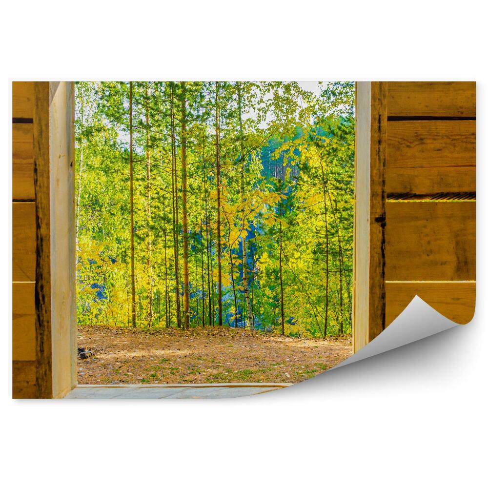 Öntapadó fotótapéta Egy faház egy fás erdő közepén