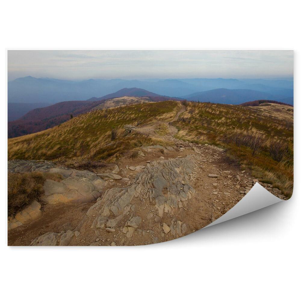 Öntapadós fotótapéta Hegyek út útvonal kövek növényzet ősz