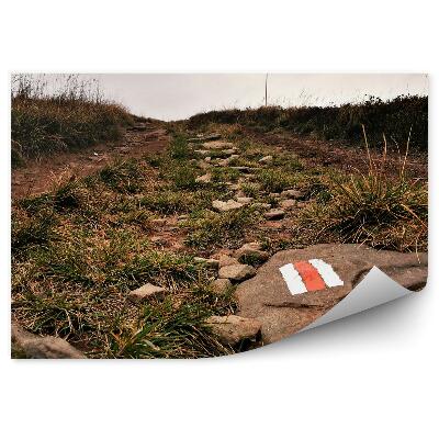 Öntapadós fotótapéta Zöld füves hegyi ösvény