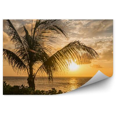 Poszter tapéta Naplemente a horizonton víz növények