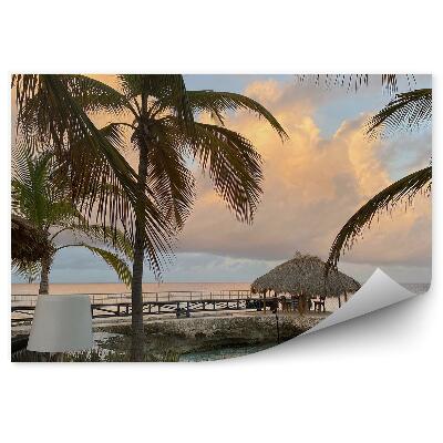 Poszter tapéta Felhős ég pálmafák természet kávézó a tenger mellett