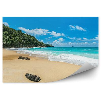 Poszter tapéta Tengerpart strand hullámok zöld erdő