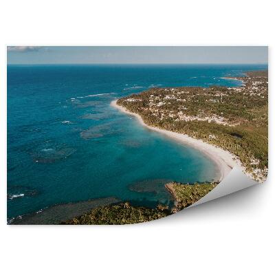 Poszter tapéta Horizont tengerpart tengerparti strand erdő