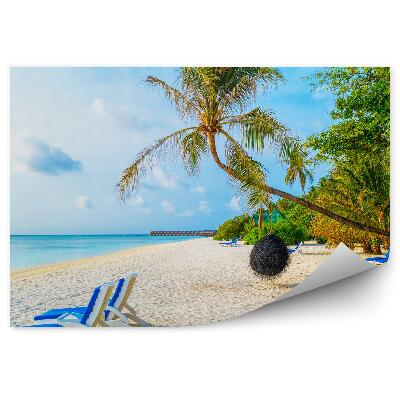 Poszter tapéta Strand napozóágyak nyár pálmafák kék víz