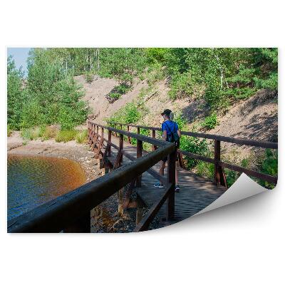 Fotótapéta móló turizmus zöld természet