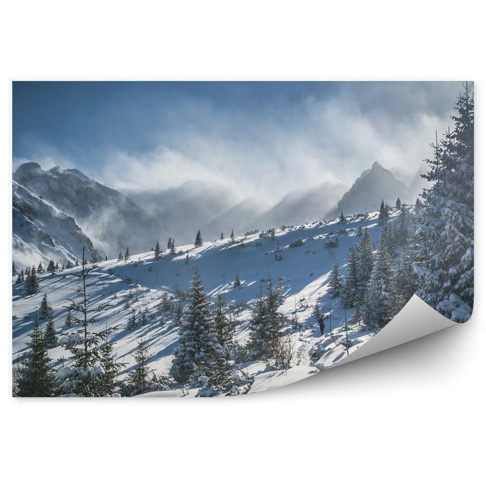 Öntapadós fotótapéta falra Hala gąnicowa tatry hegyek hó tűlevelű fák nap