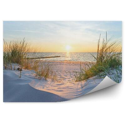 Fotótapéta Tengerpart, tenger, napkelte