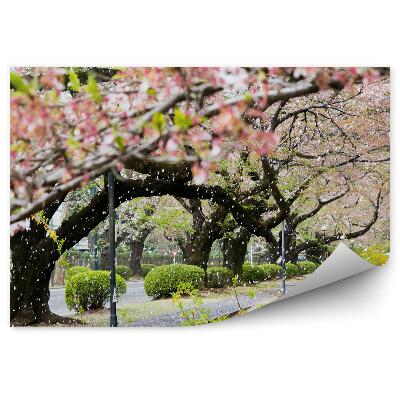 Fotótapéta cseresznyevirág fák bokrok fű út téli hó