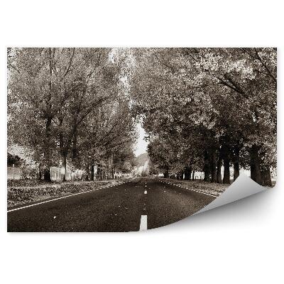 Öntapadó fotótapéta Út vidékre, fák, növényzet