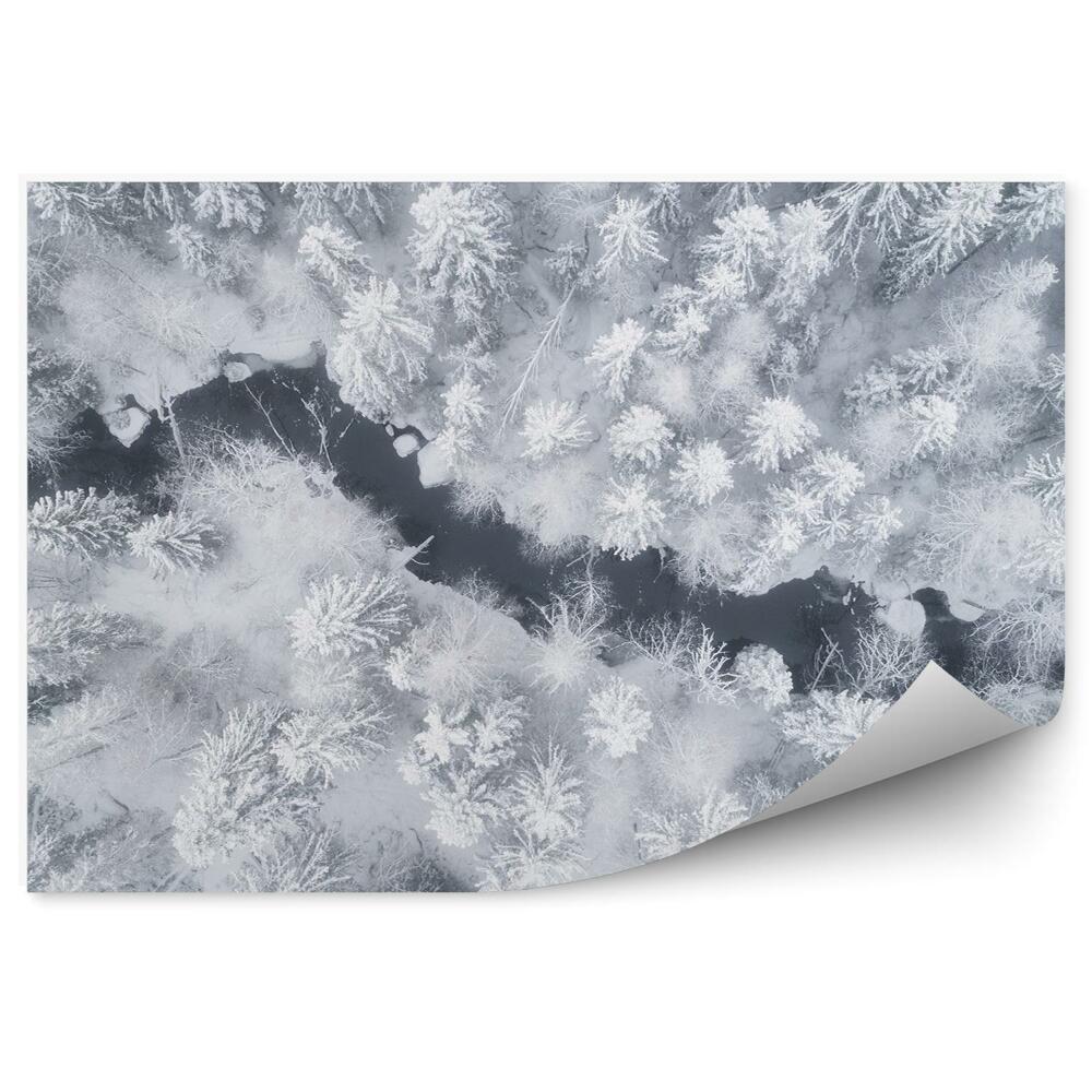 Öntapadós fotótapéta falra Téli erdőben folyó kilátás