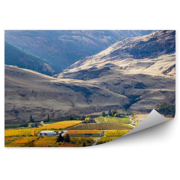 Öntapadó fotótapéta Hegyek mezők házak