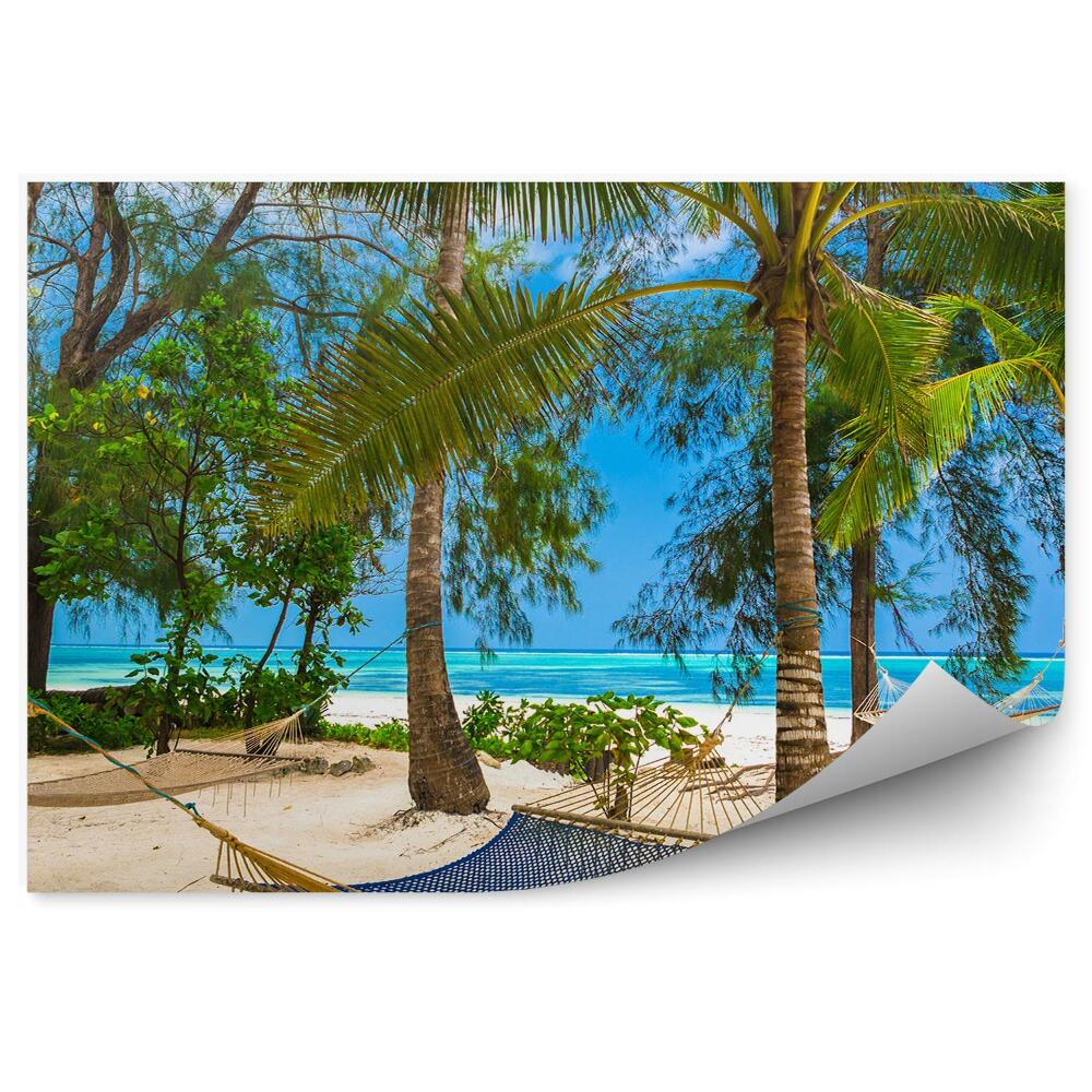 Öntapadó fotótapéta Függőágyak strand pálmafák óceán bokrok tanzánia