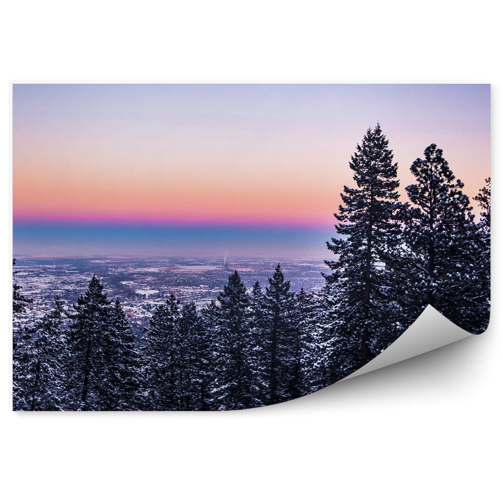 Modern fotótapéta Városi tűlevelű fák téli hó naplemente