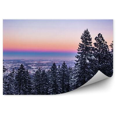 Modern fotótapéta Városi tűlevelű fák téli hó naplemente