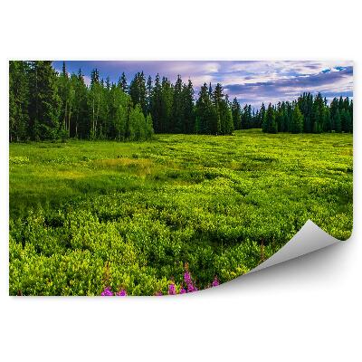 Öntapadós fotótapéta Karácsonyfa tisztás színes virágok