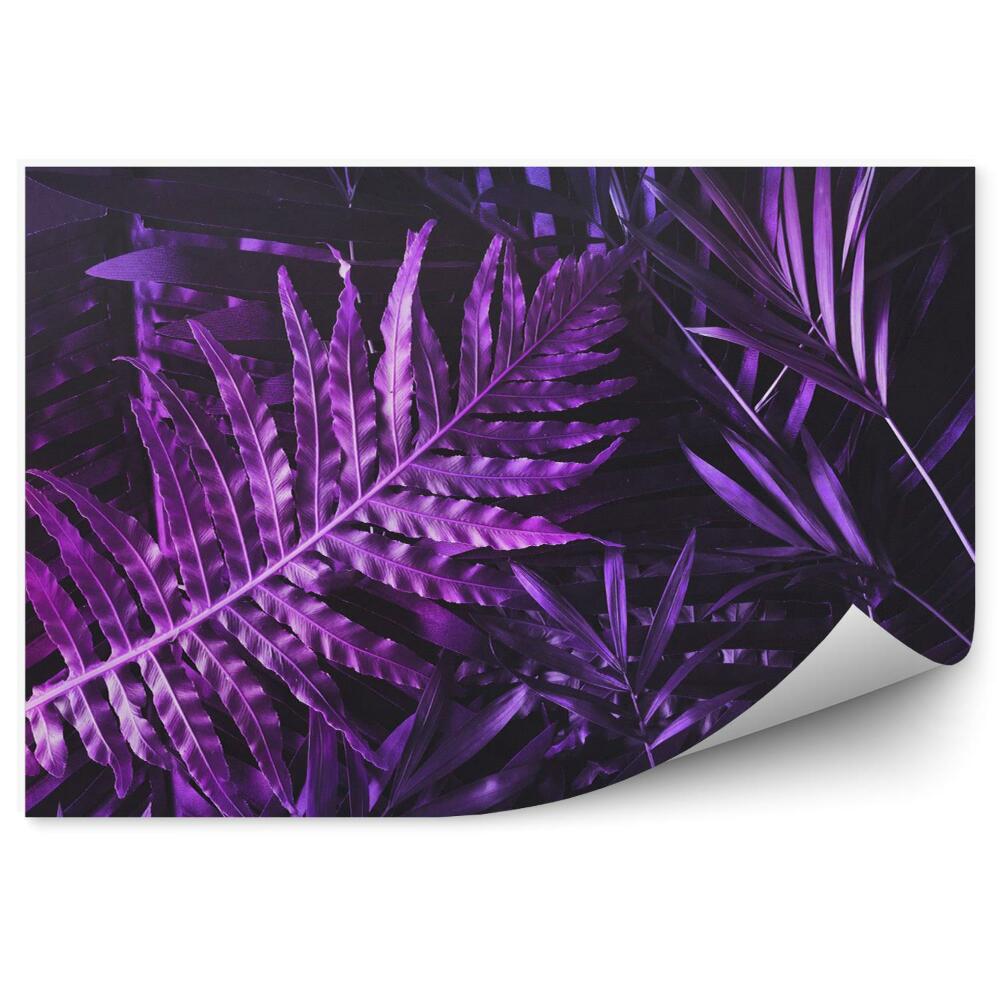 Fotótapéta Lila levelek elrendezése