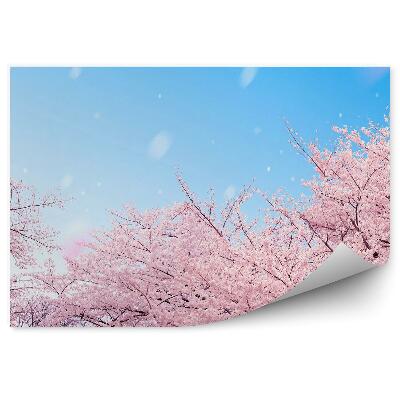 Öntapadós fotótapéta Rózsaszín fák ég felhők ég eső