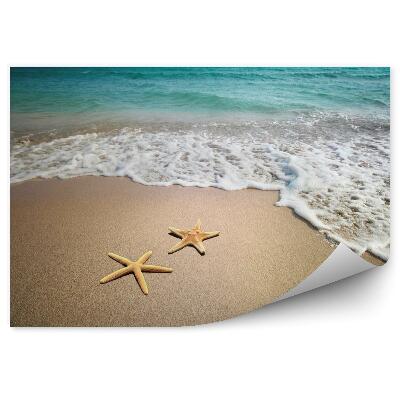 Fotótapéta Két tengeri csillag a tengerparton
