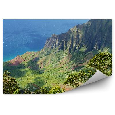 Poszter tapéta hegyek óceán növények természet hawaii