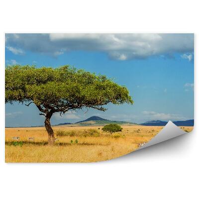 Fotótapéta Táj kilátás természet fa zebra