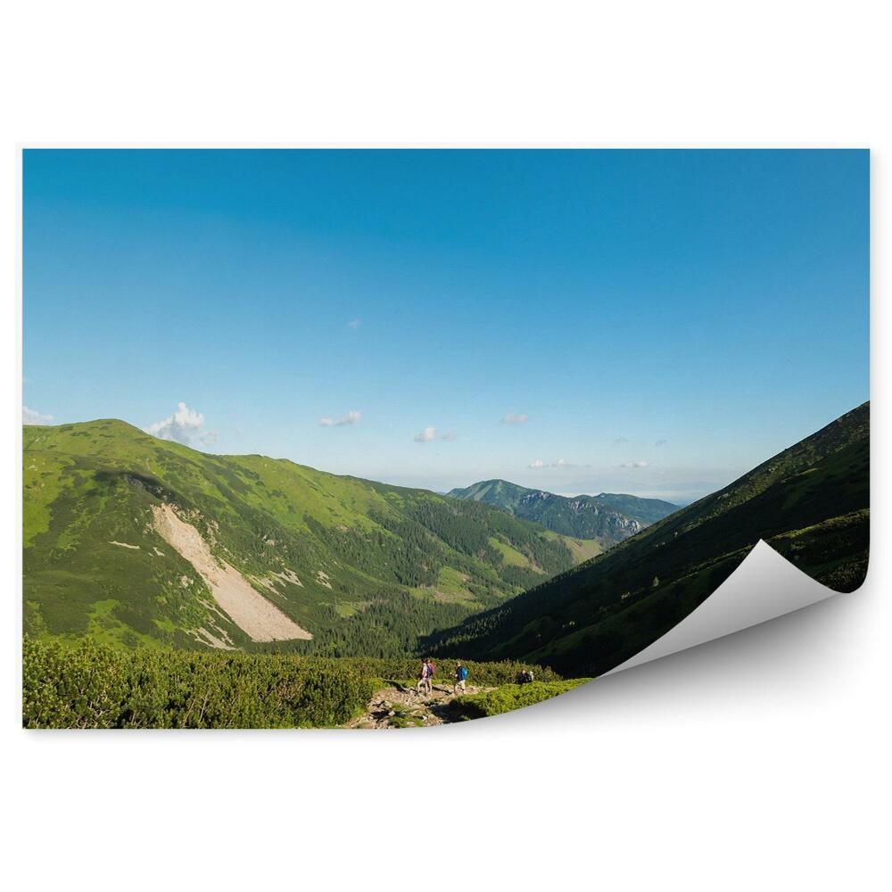 Öntapadós fotótapéta falra A Tátra Starorobociański csúcsa