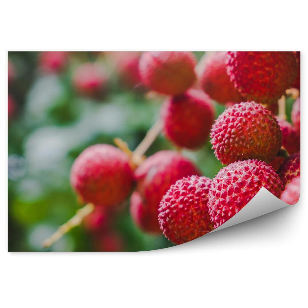 Öntapadós Fotótapéta Piros licsi gyümölcsfa levelei