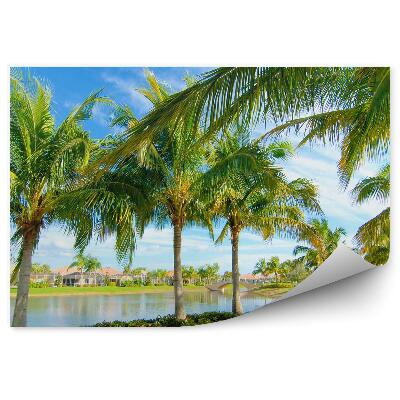 Öntapadó fotótapéta Pálmafák tó házak hidak növények