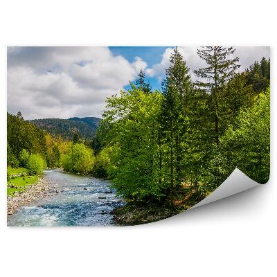 Öntapadós fotótapéta Zöld erdő fák karácsonyfák folyó