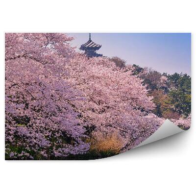 Öntapadós fotótapéta falra Cseresznyevirágok csónak növényzet fák