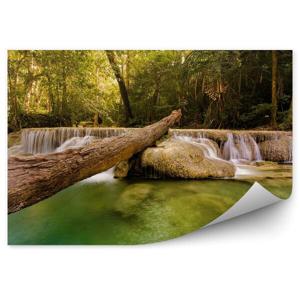 Fotótapéta Trópusi patak vízesés mély erdő