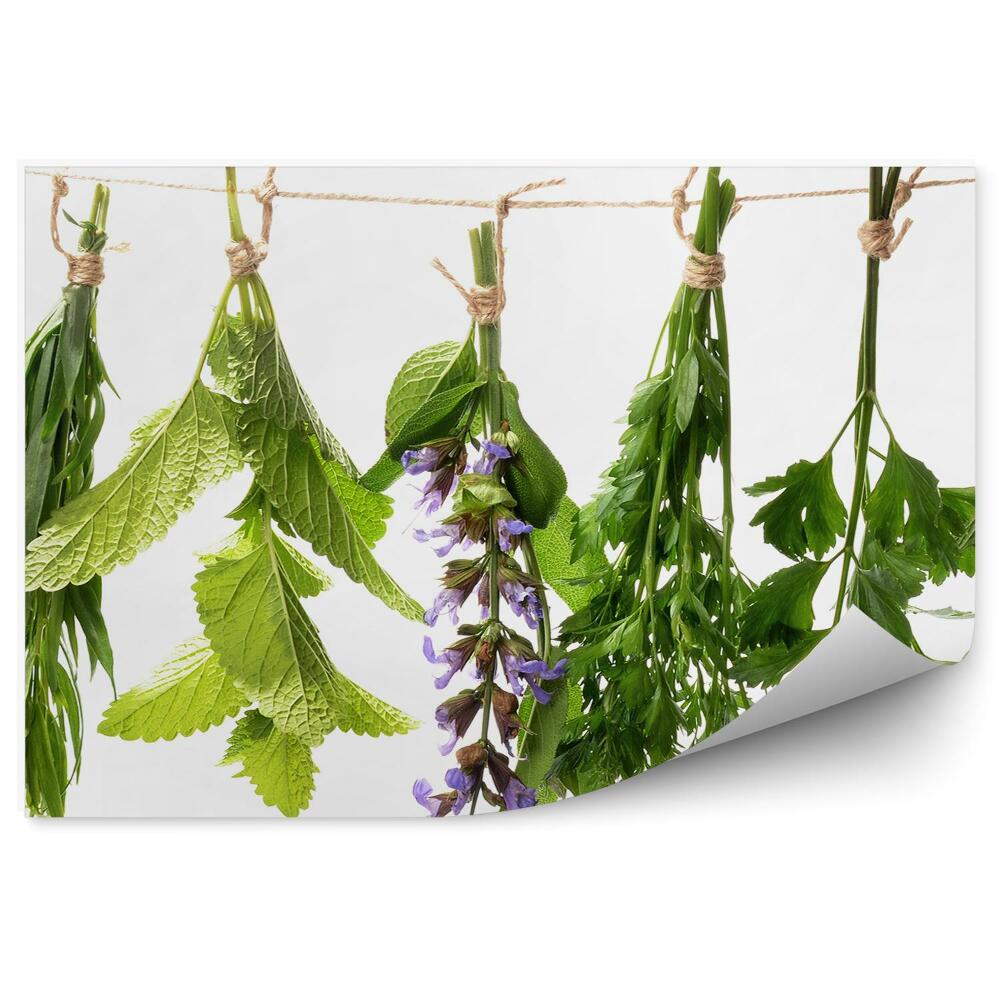 Öntapadós Fotótapéta Mentás zsálya friss fűszernövények