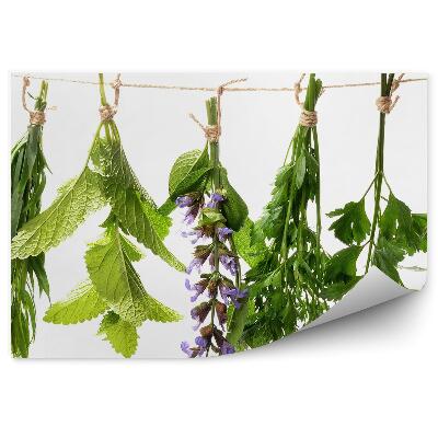 Öntapadós Fotótapéta Mentás zsálya friss fűszernövények