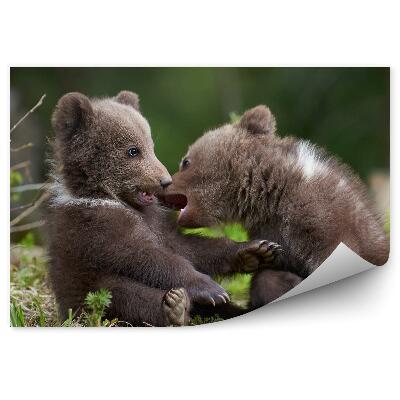 Modern fotótapéta Medvekölykök az erdőben