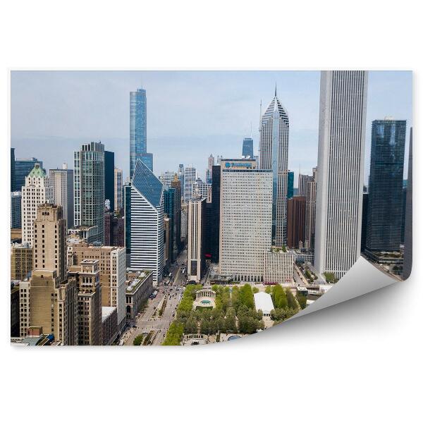 Fotótapéta felhőkarcolók fák közúti autók stadion Chicago