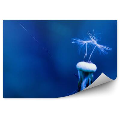 Poszter tapéta Gyermekláncfű mag