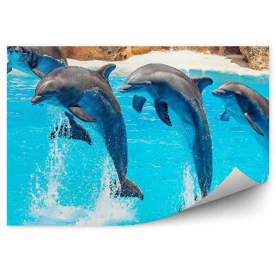 Öntapadós fotótapéta Delfin akrobatika