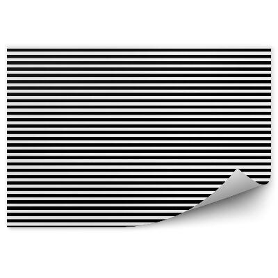 Fotótapéta Fekete-fehér vízszintes csíkos minta