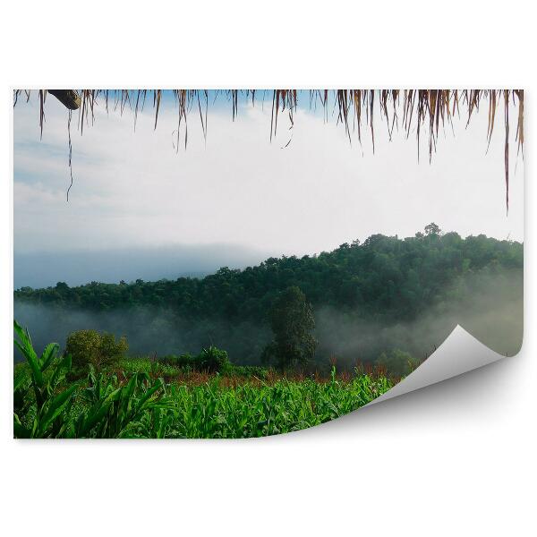 Fotótapéta Erdő a ködben