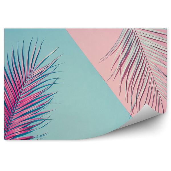 Fotótapéta Háttér egzotikus trópusi pálma levelekkel