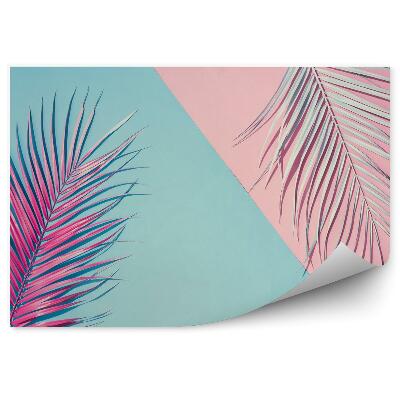 Fotótapéta Háttér egzotikus trópusi pálma levelekkel