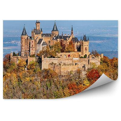 Öntapadós fotótapéta falra Hohenschwangau vár bajor Alpok tűlevelű fák hegyek