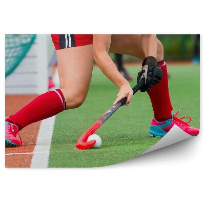 Fotótapéta Mezőhoki akció