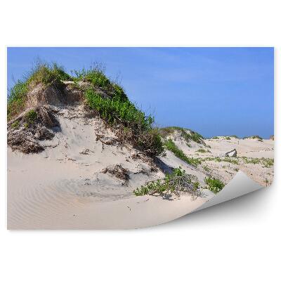 Öntapadó fotótapéta Dűnék fű ég sziklák