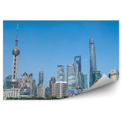 Öntapadó fotótapéta Shanghai felhőkarcolók fák óceán ég felhők