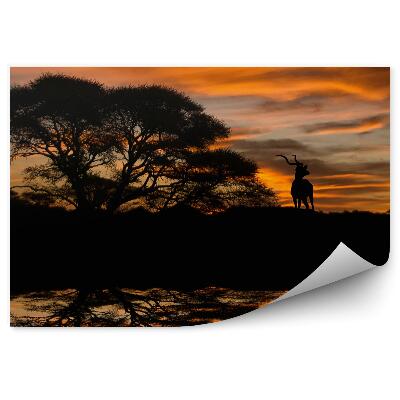Öntapadó fotótapéta Antilop fák növények tó naplemente